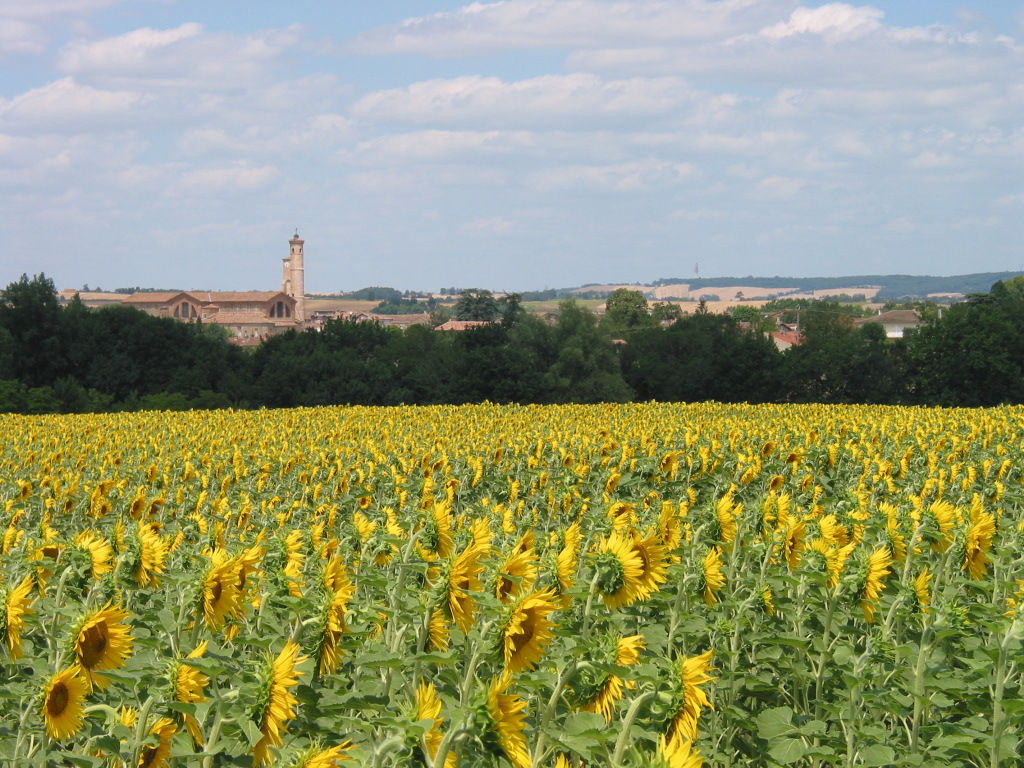 isle jourdain dans le gers